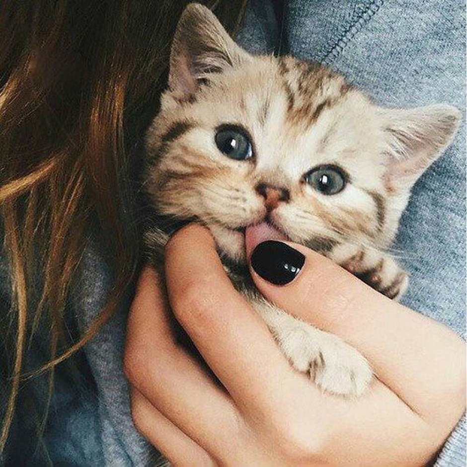 Милые фоточки