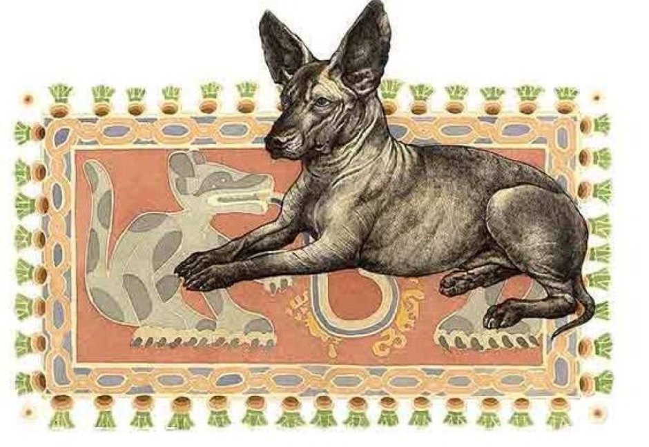 Ксолоитцкуинтли собаки Майя
