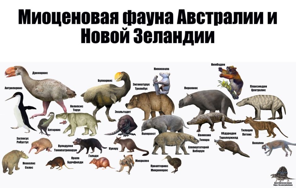 Миоценовая фауна Северной Америки