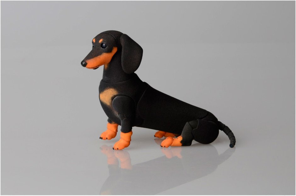 Пятнистая такса