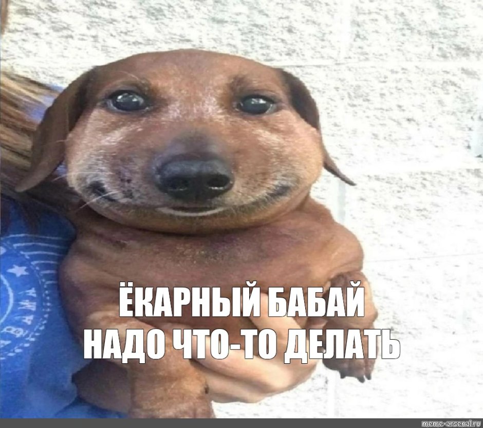 Новогодняя такса