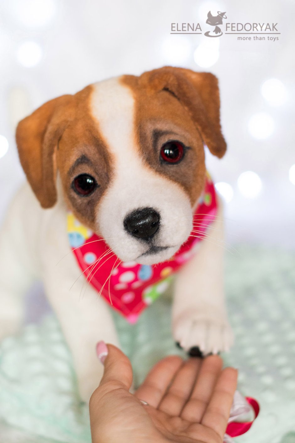 Джек Рассел терьер Майо