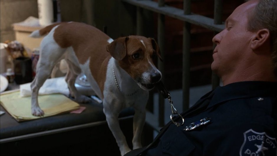 Маска фильм 1994 собака