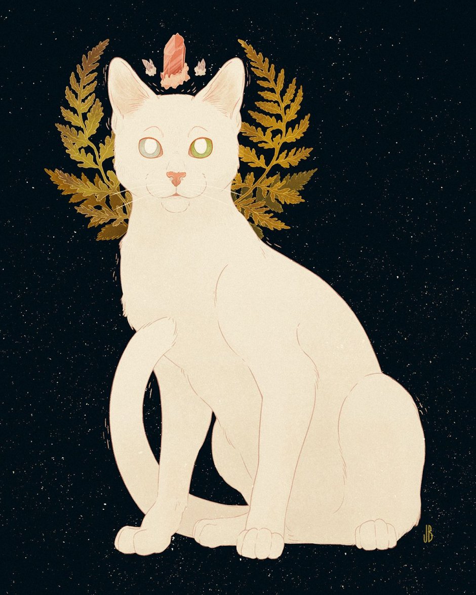 Коты и книги Эстетика