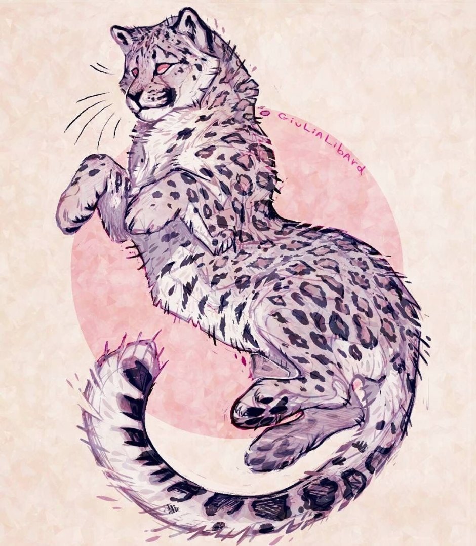 Кот с розовыми щеками
