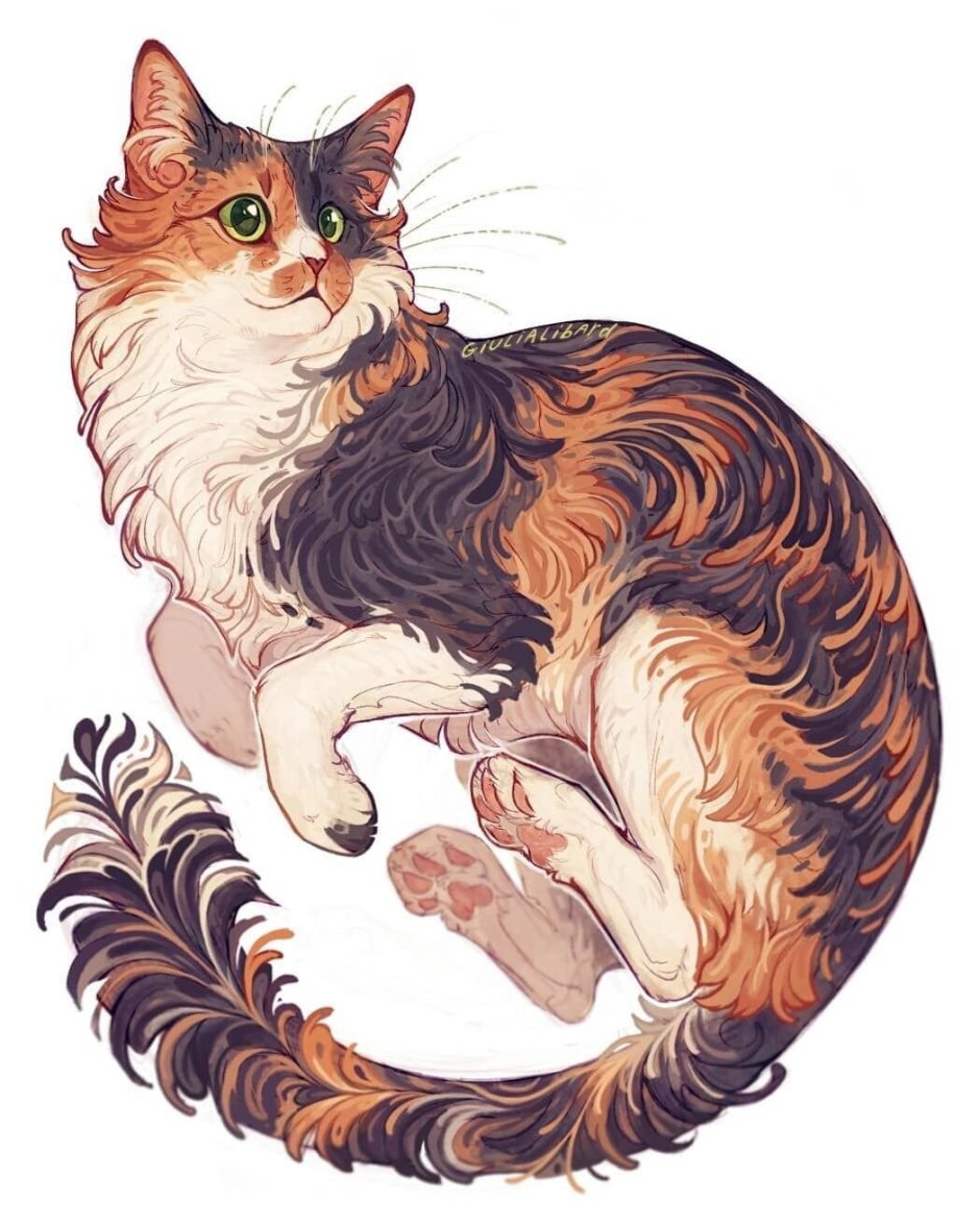 Коты Воители окрасы