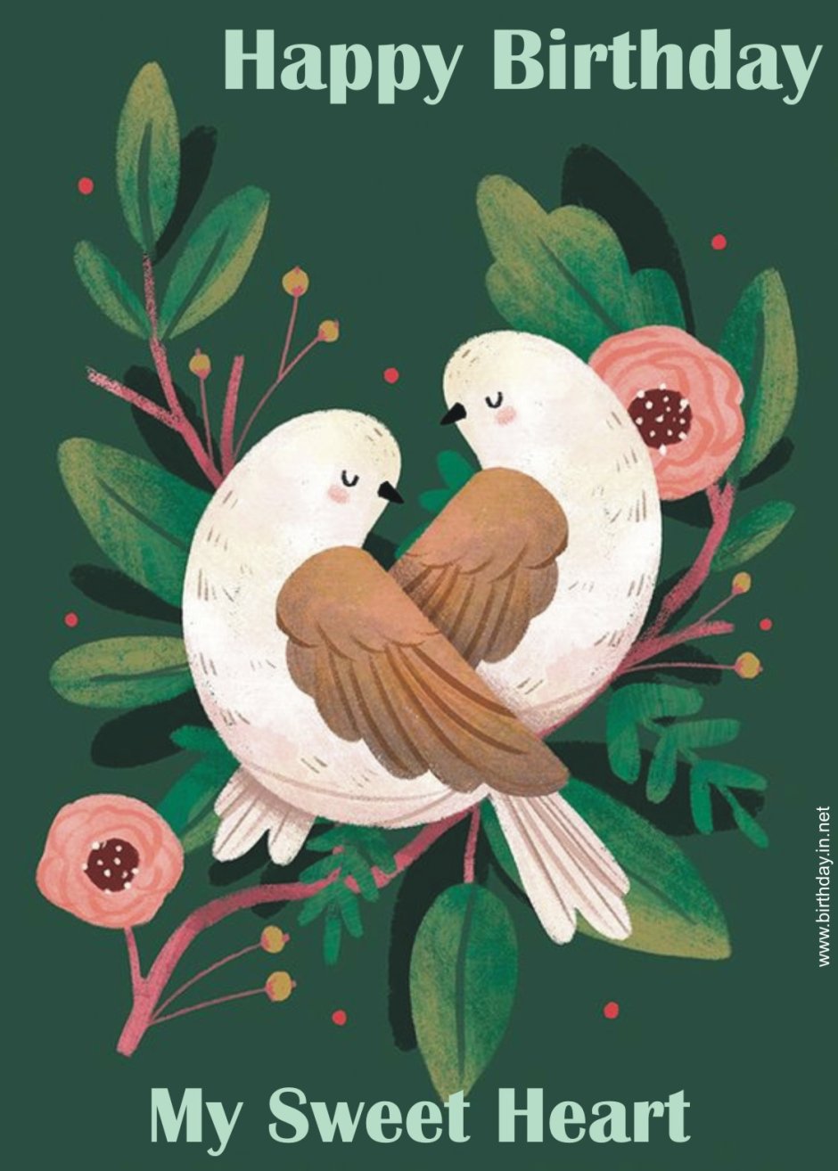 Удивительные птицы