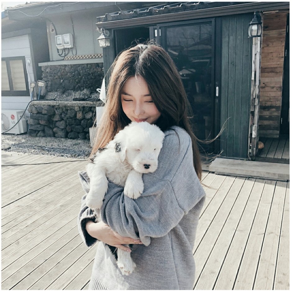 Пёстрый китайский фазан / Syrmaticus reevesii