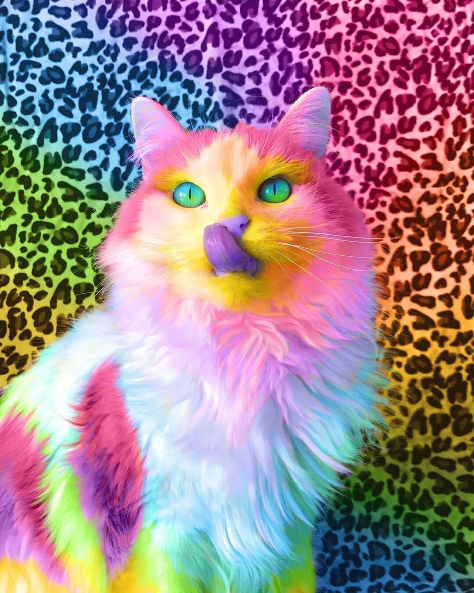 Радужная кошка
