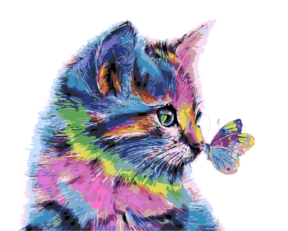 Котик красками
