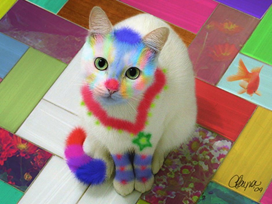Кошки с разноцветной шерстью