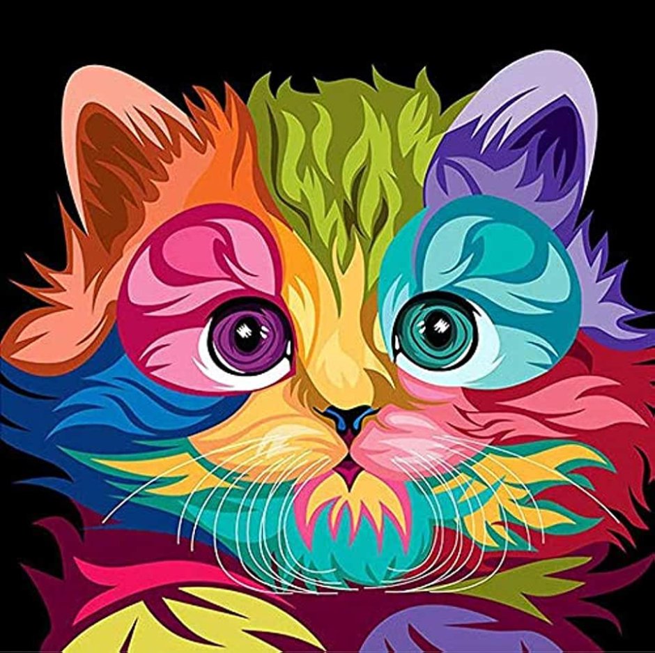 Яркий котик