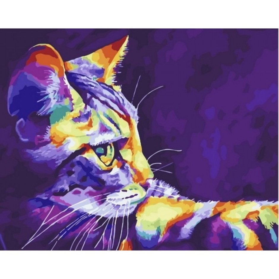 Кошки цветные