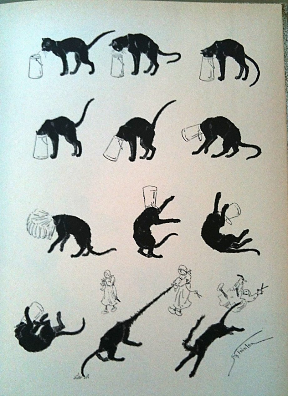 Динамичные позы котов