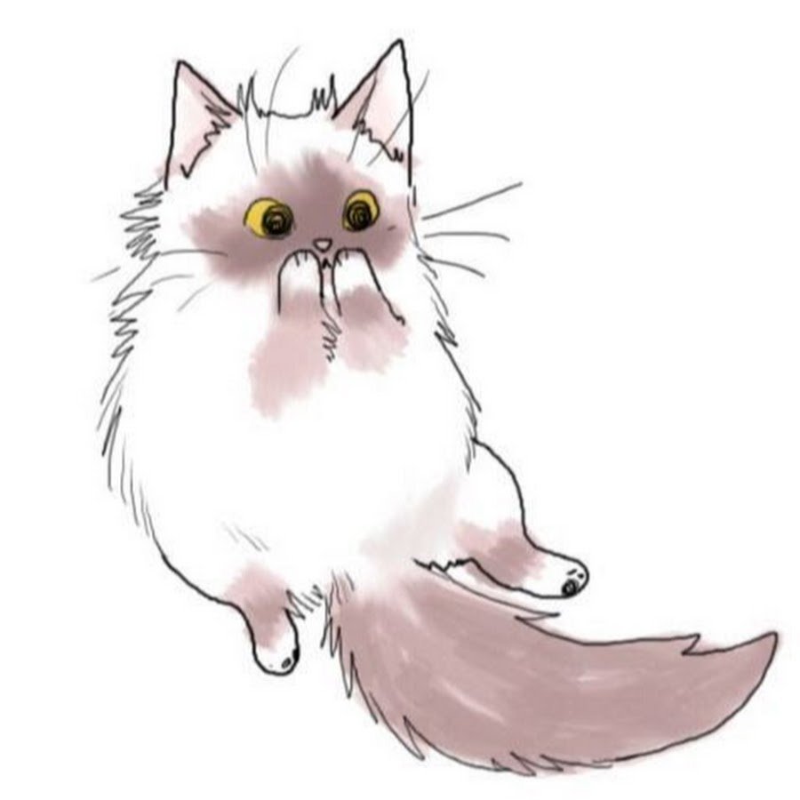 Кот арт без фона