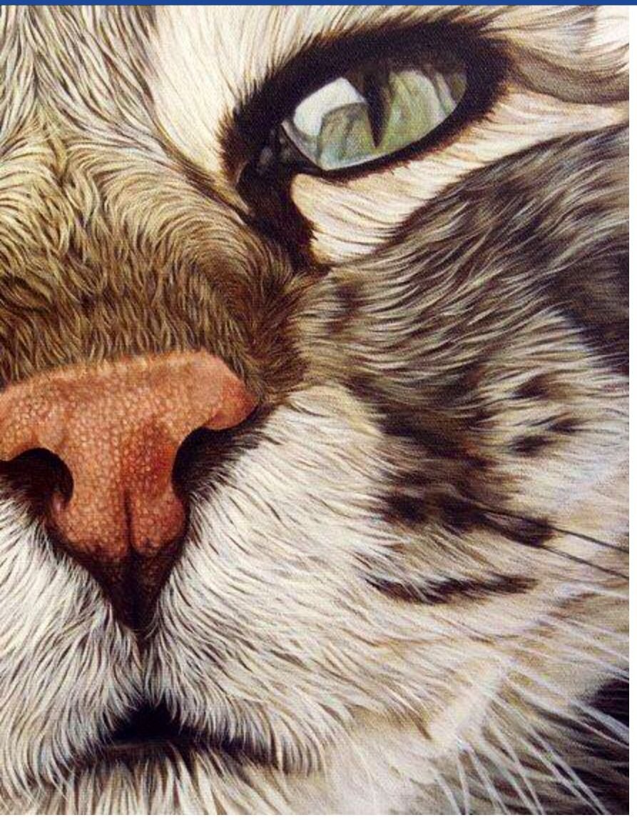 Рисунки животных