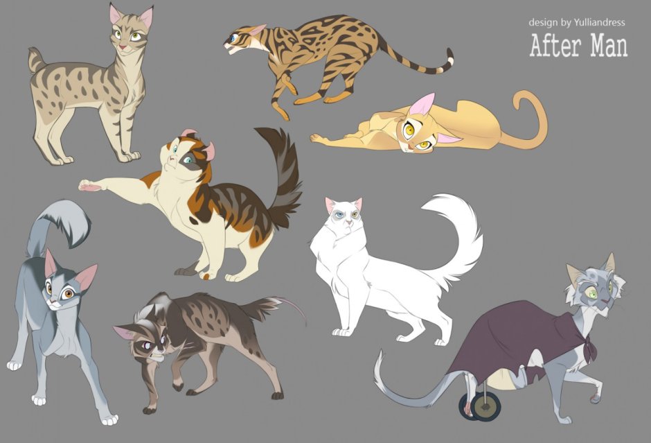 Референс позы котов воителей