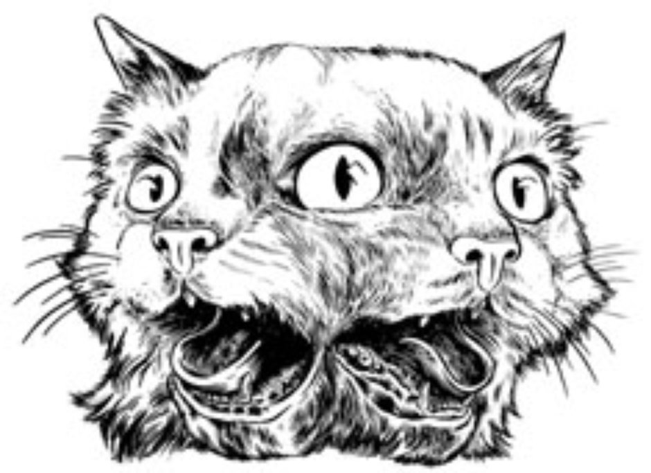 Двуглавый кот тату