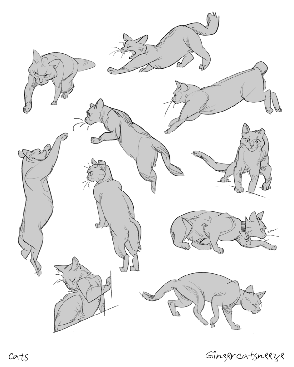 Кошка сбоку референс