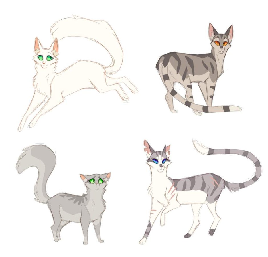 Коты Воители белолапа и Березовик