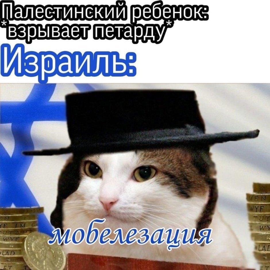 Кот в Еврейской шапочке