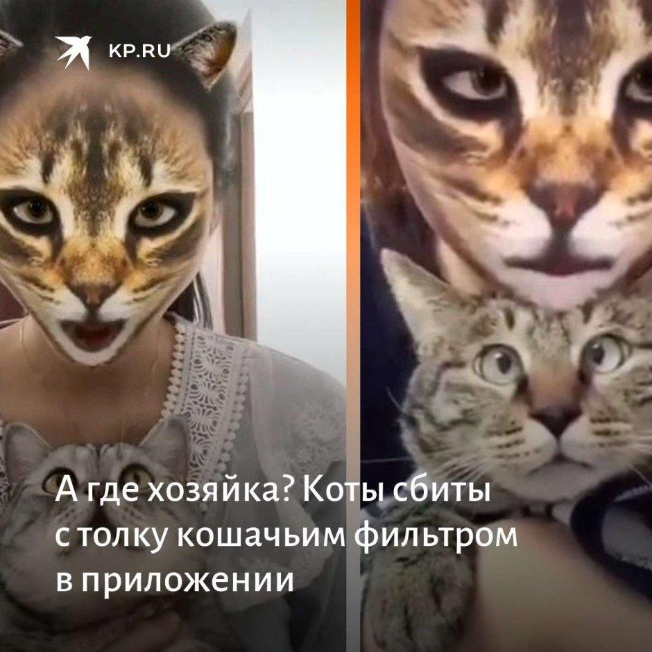 Девушка с котом Эстетика