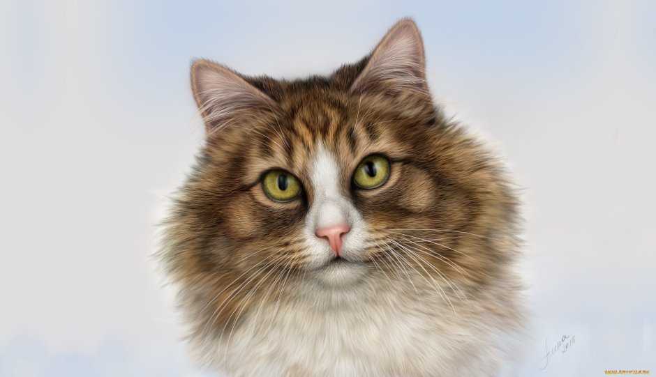 Портрет кошки