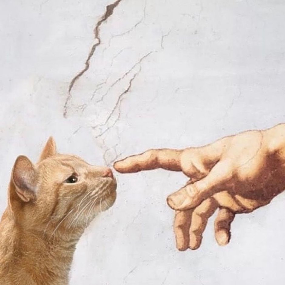 Кот улыбается