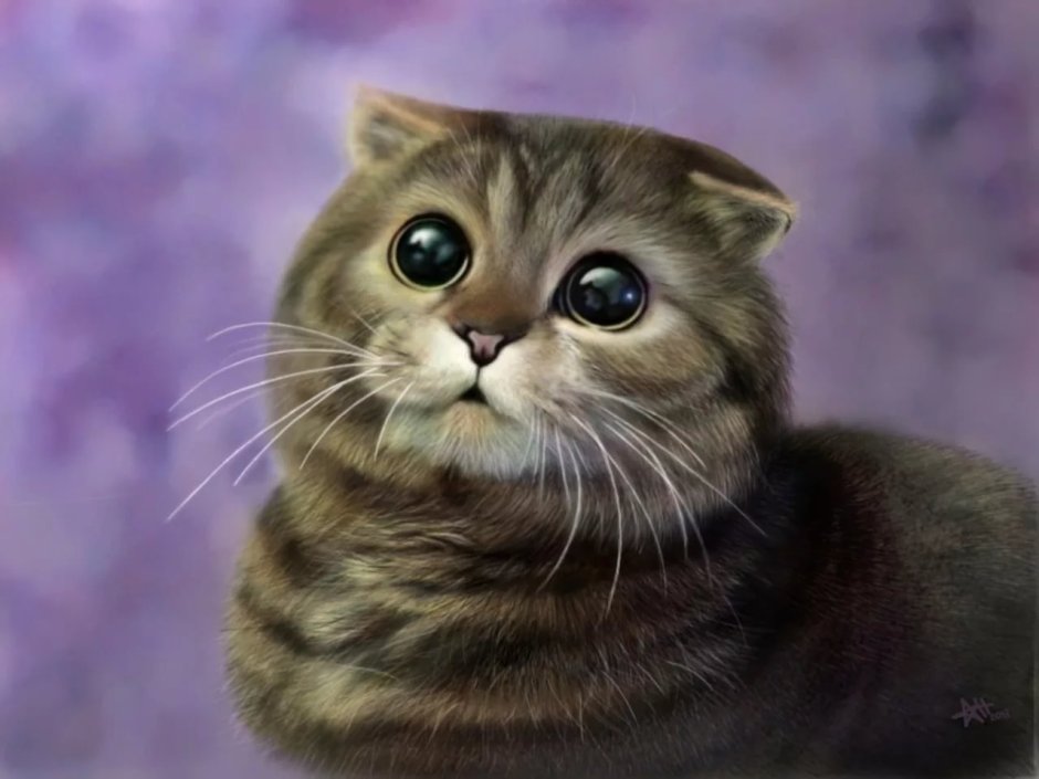 Милая мордочка кота