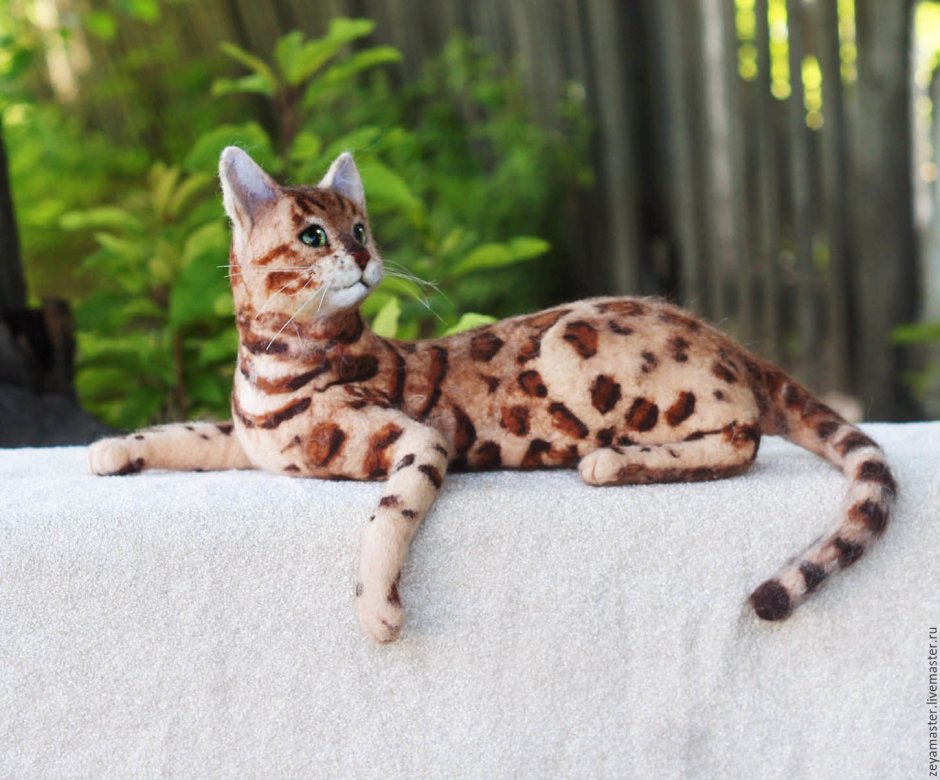 Маленький леопард кошка
