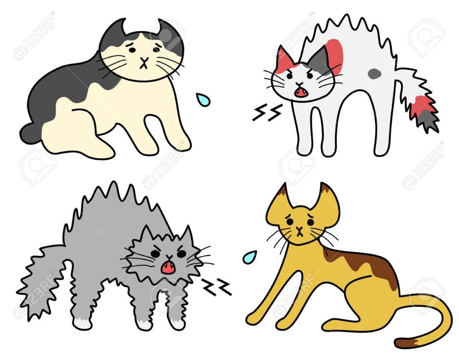 Шипящая кошка рисунок