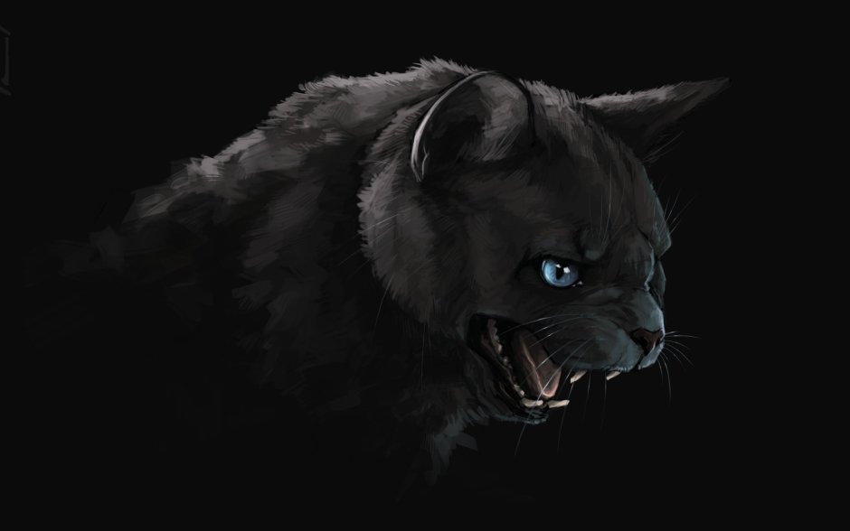 Изящная черная кошка