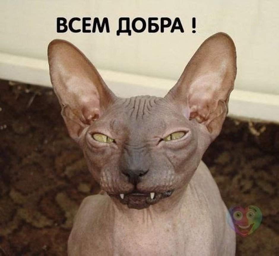 Мама сфинкса