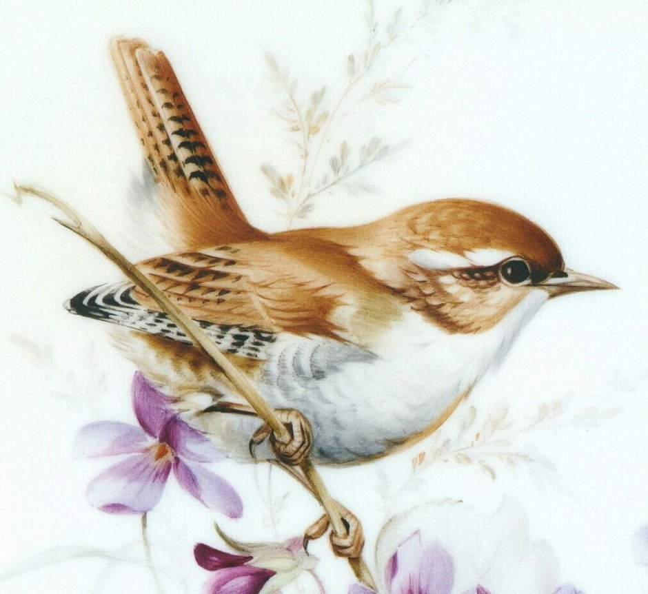 Рисуем птиц
