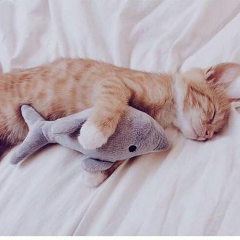 Котенок в кровати