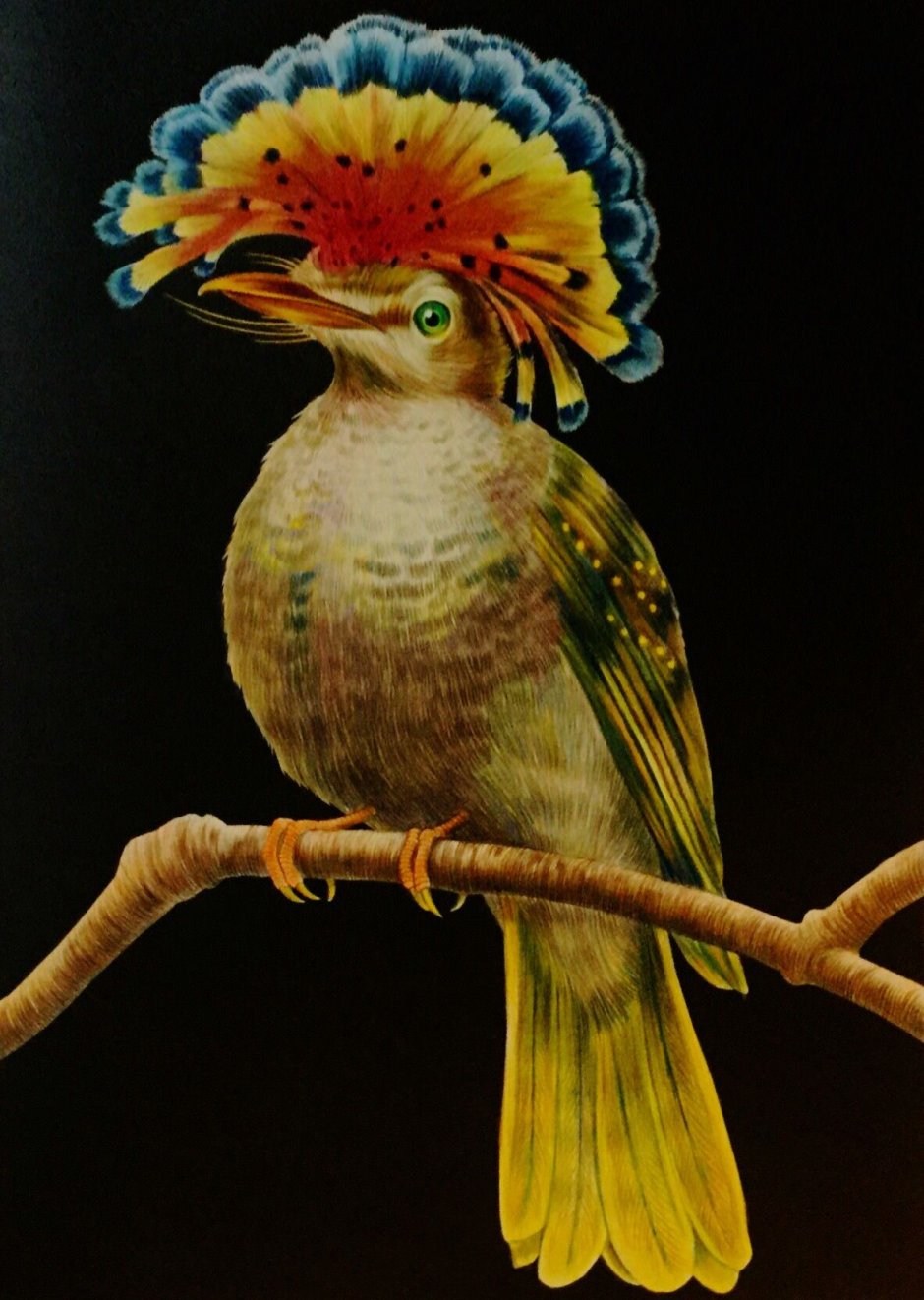 Картины Kea