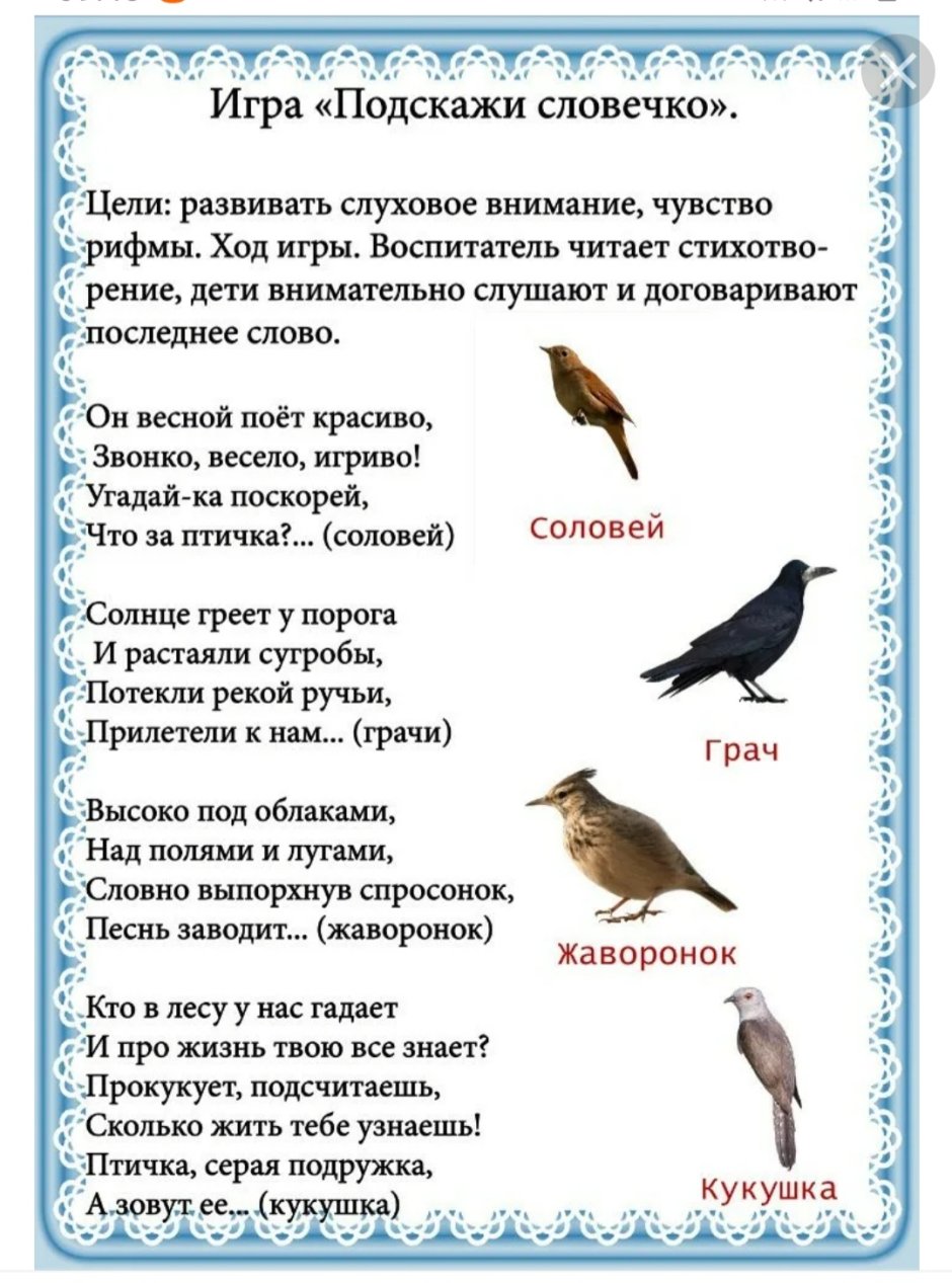 Лексическая тема перелетные птицы
