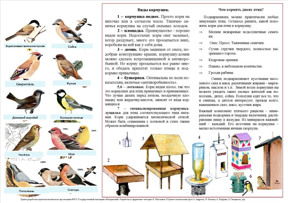 Памятка Покормите птиц зимой