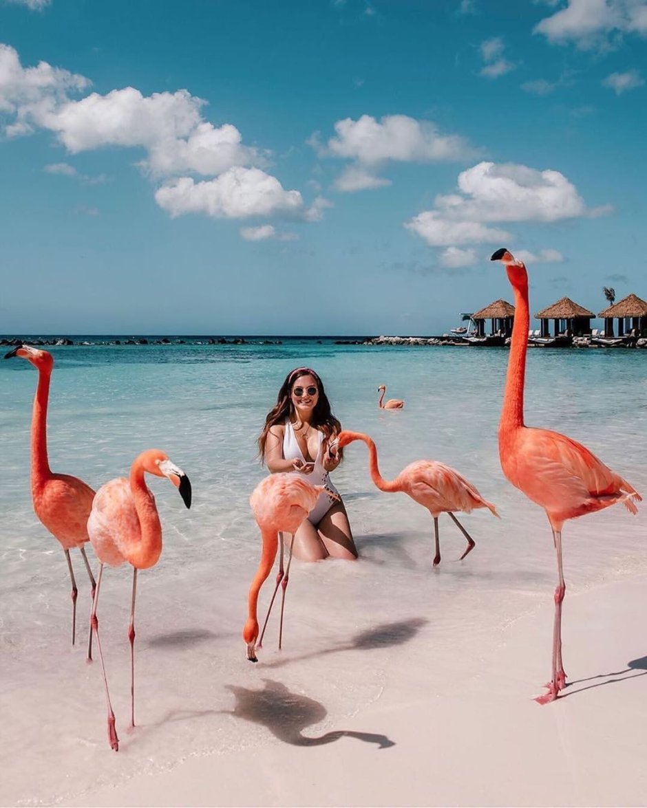 Кайо Коко Фламинго