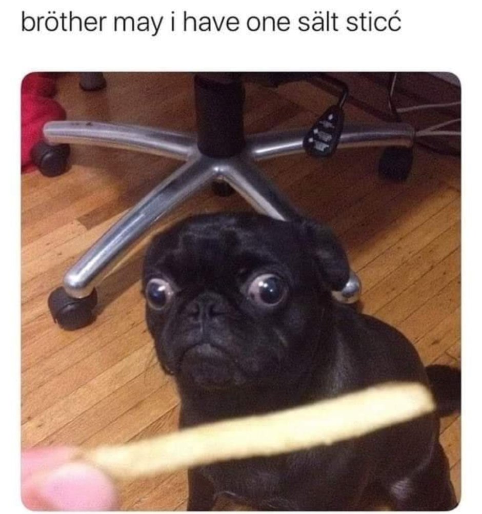 Собака на Красном фоне