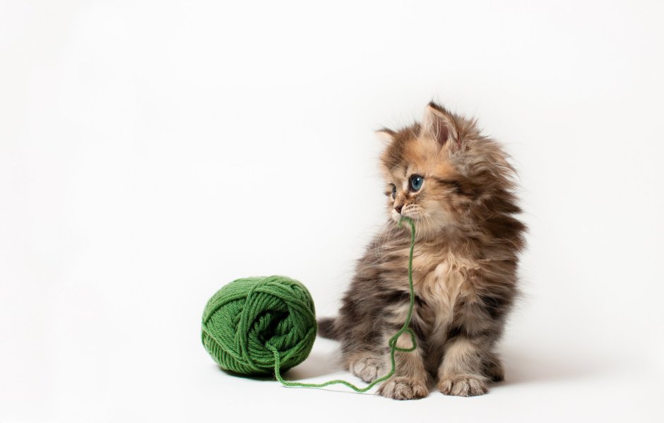 Котенок с клубочком