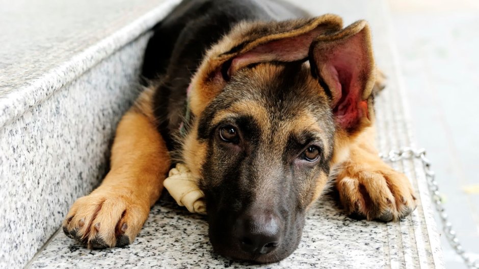 Непал фестиваль огней