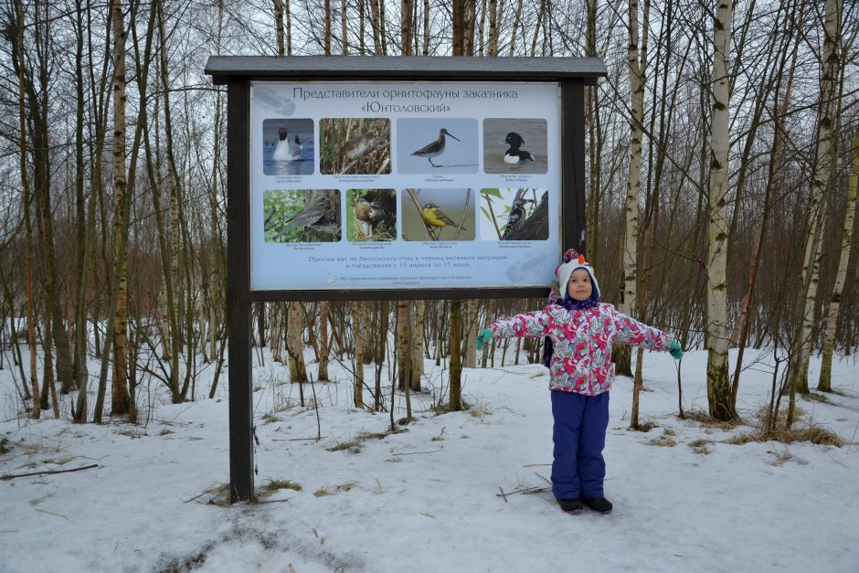 Государственный природный заказник Юнтоловский