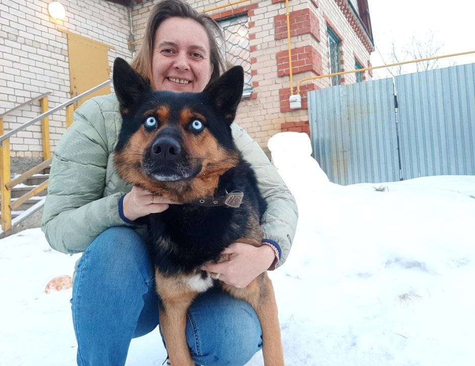 Сутулая овчарка