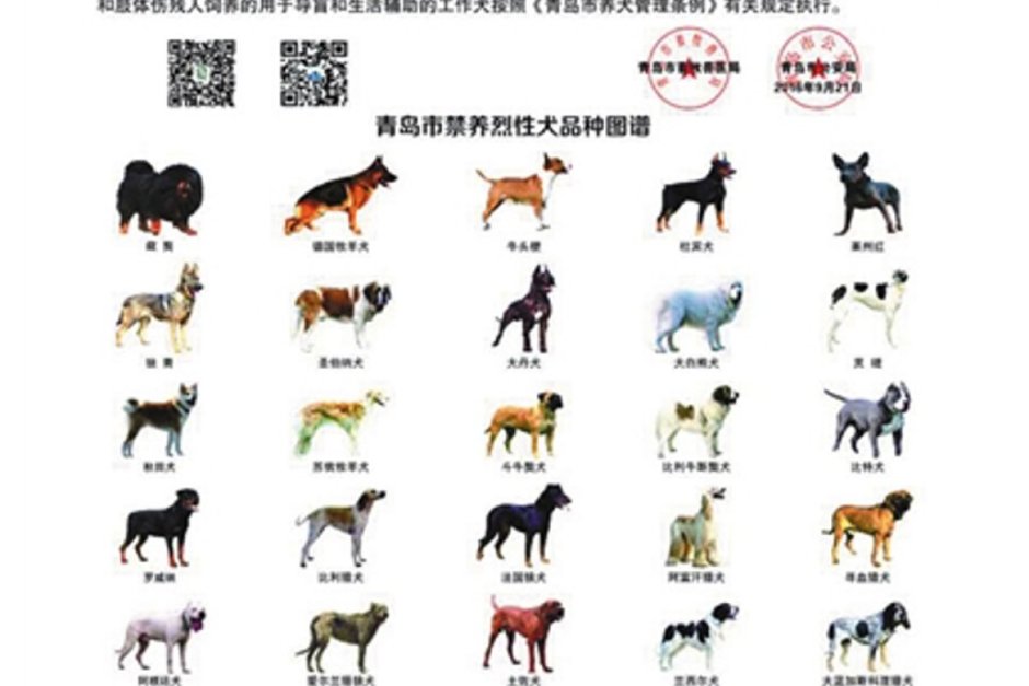 Породы собак запрещенные в России