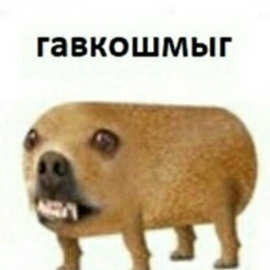 Гампр армянский волкодав