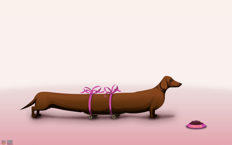 Собака такса длинная