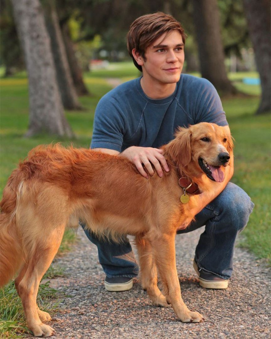 Кей Джей апа собачья жизнь