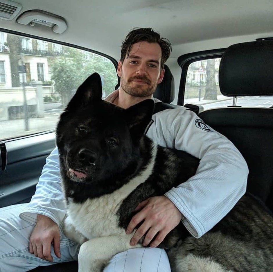 Пёс Генри Кавилл