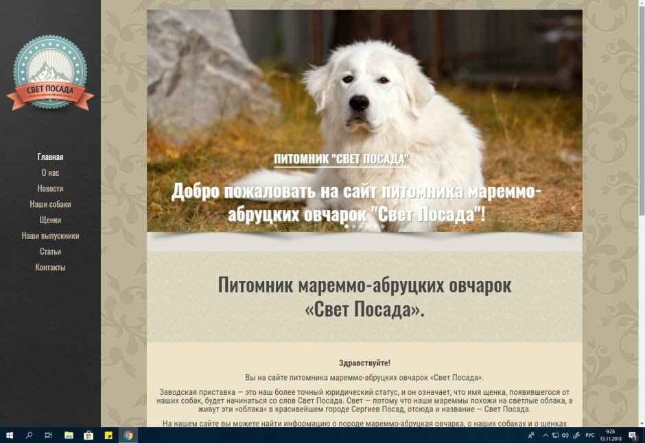 Мареммо-абруццкая овчарка